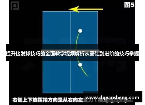 提升接发球技巧的全面教学视频解析从基础到进阶的技巧掌握